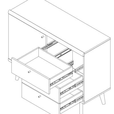 Komoda so zásuvkami PAVLIS - dub riviera / biela