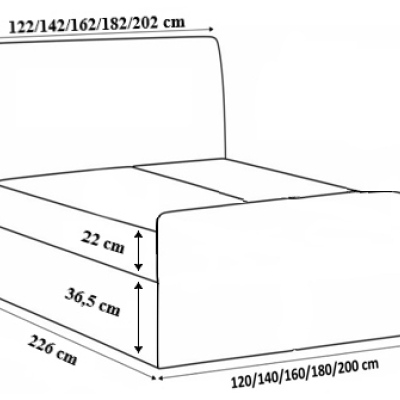 Čalúnená posteľ Maxim 120x200, čierná eko koža