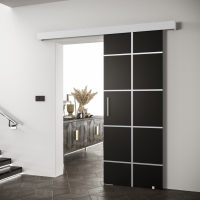 Posuvné dvere so striebornými úchytmi SALOME 3 - čierne / biele
