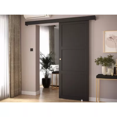 Posuvné dvere MANOLO 2 - 80 cm, čierne