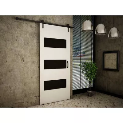 Posuvné interiérové dvere XAVIER 2 - 80 cm, čierne / biele