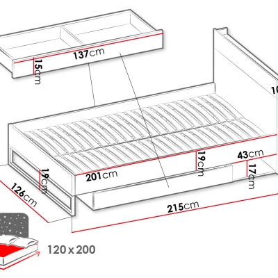 Jednolôžková posteľ so zásuvkou 120x200 cm SONRISA - orech hickory / dub riviera / silk flow