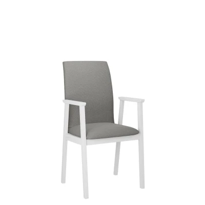 Čalúnená jedálenská stolička s podrúčkami NASU 1 - biela / šedá