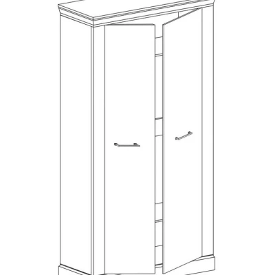 Dvojdverová skriňa AILISH - šírka 107 cm, dub kraft zlatý