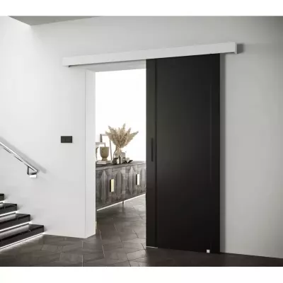 Posuvné dvere s čiernymi úchytmi SALOME 9 - čierne / biele