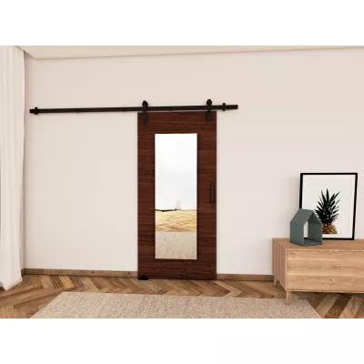 Posuvné dvere so zrkadlom BUSHLAND 9 - 96 cm, wenge