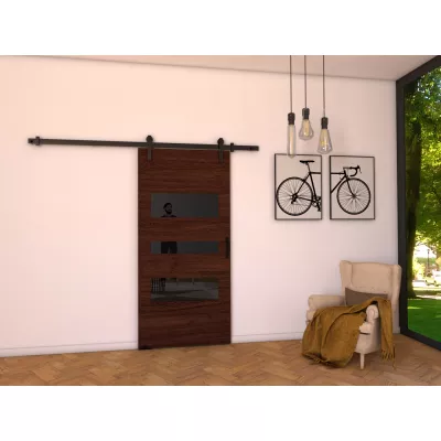 Interiérové dvere na stenu BUSHLAND 3 - 86 cm, wenge