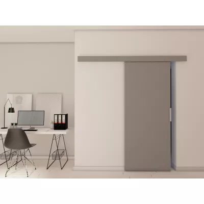 Posuvné dvere na stenu BARRET 1 - 76 cm, šedé