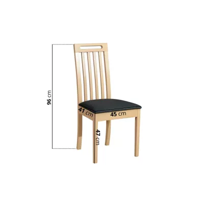 Jedálenská stolička DEANA 10 - čierna / čierna