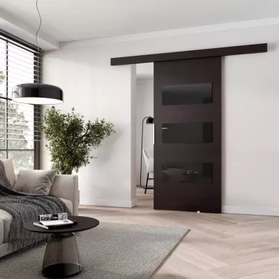 Posuvné dvere na stenu BARRET 5 - 76 cm, wenge