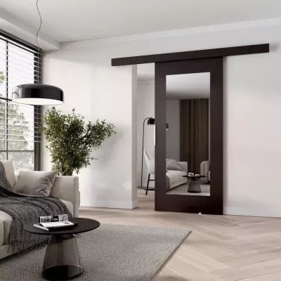 Posuvné dvere so zrkadlom BARRET 9 - 106 cm, wenge