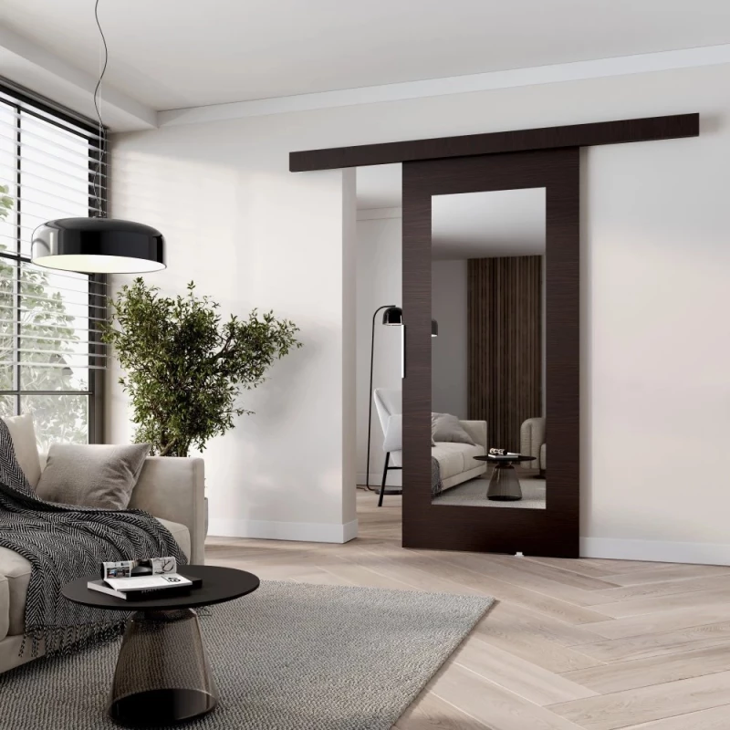 Posuvné dvere so zrkadlom BARRET 9 - 106 cm, wenge