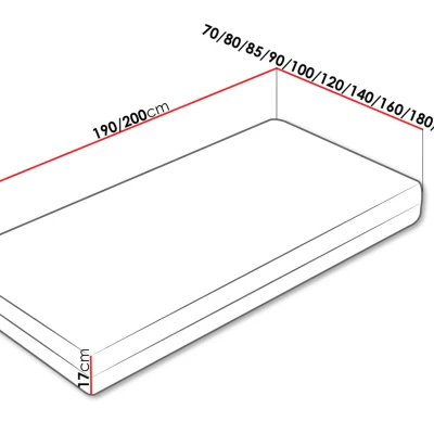 Pružinový matrac REGLA - 100x200