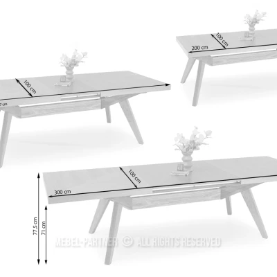 Rozkladací jedálenský stôl 200(300)x100 KABUDAL - dub