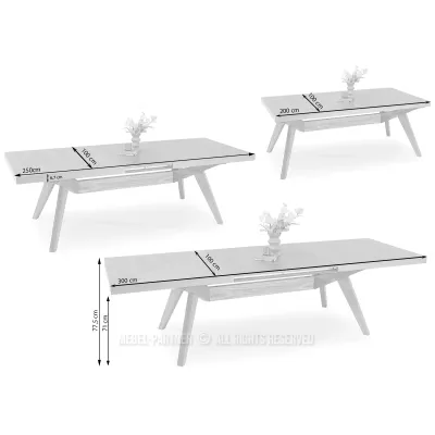 Rozkladací jedálenský stôl 200(300)x100 KABUDAL - dub