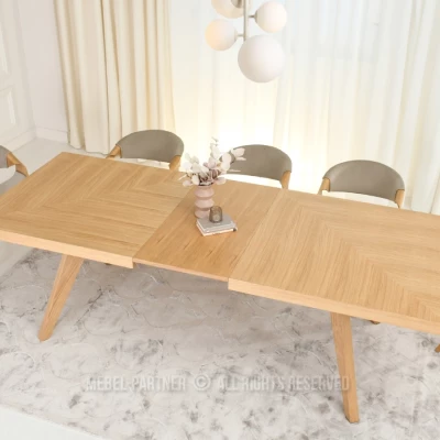 Rozkladací jedálenský stôl 200(300)x100 KABUDAL - dub