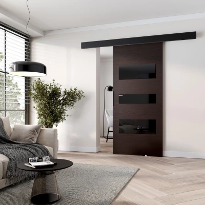 Posuvné dvere na stenu BARRET 13 - 96 cm, wenge / čierne