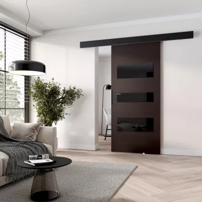Posuvné dvere na stenu BARRET 13 - 96 cm, wenge / čierne