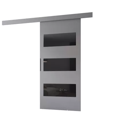 Interiérové ​​dvere na stenu BARRET 15 - 96 cm, šedé / čierne
