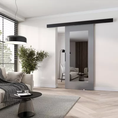 Posuvné dvere so zrkadlom BARRET 19 - 96 cm, šedé / čierne