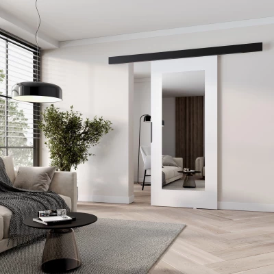 Posuvné dvere so zrkadlom BARRET 19 - 106 cm, biele / čierne