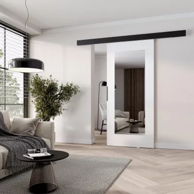 Posuvné dvere so zrkadlom BARRET 19 - 106 cm, biele / čierne