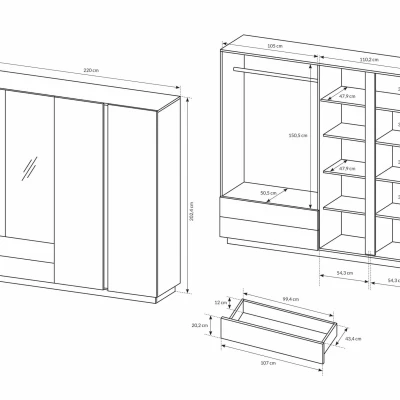 Šatníková skriňa so zrkadlom 220 cm DOTHAN - dub grandson / biela / lesklá biela