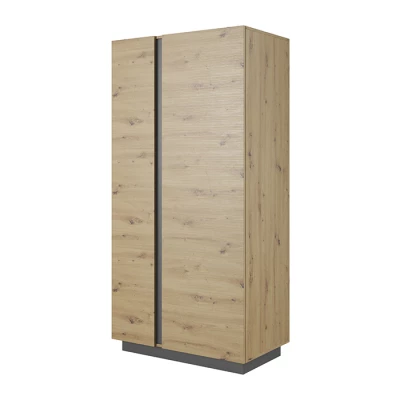 Dvojdverová šatníková skriňa 97 cm DOTHAN - dub artisan / grafitová
