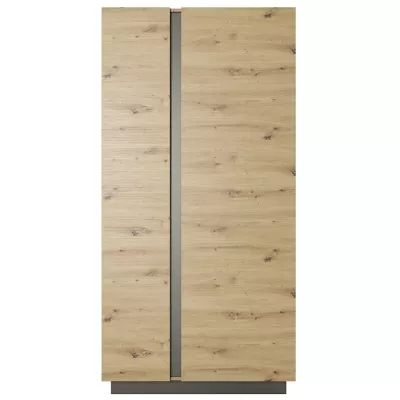 Dvojdverová šatníková skriňa 97 cm DOTHAN - dub artisan / grafitová