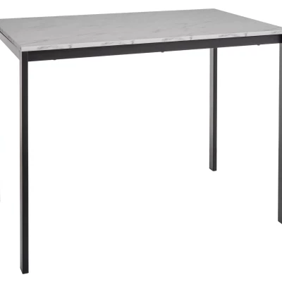 Jedálenský stôl 100x60 ERION - biely mramor / čierny