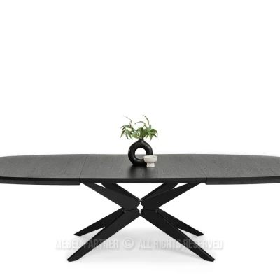 Rozkladací jedálenský stôl 200(300)x110 EVIL - čierny