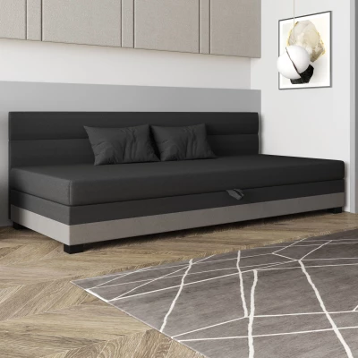 Jednolôžková čalúnená posteľ 120x195 NALINDA BIZ 2 - šedá / svetlo šedá