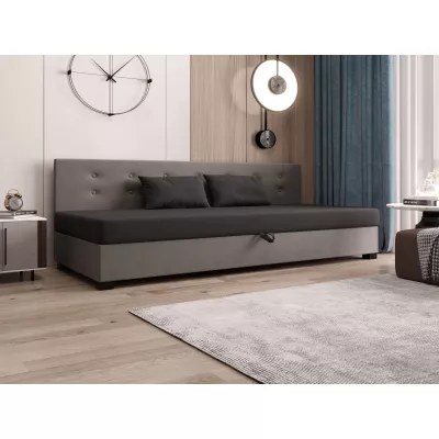 Jednolôžková posteľ 80x195 AJKA BIZ 1 - šedá / svetlo šedá