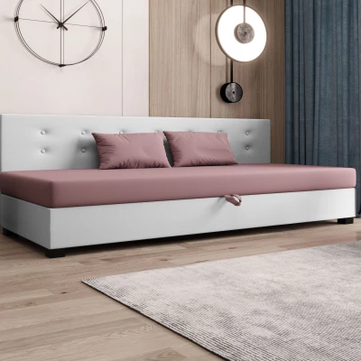 Jednolôžková posteľ 120x195 AJKA BIZ 1 - ružová / biela