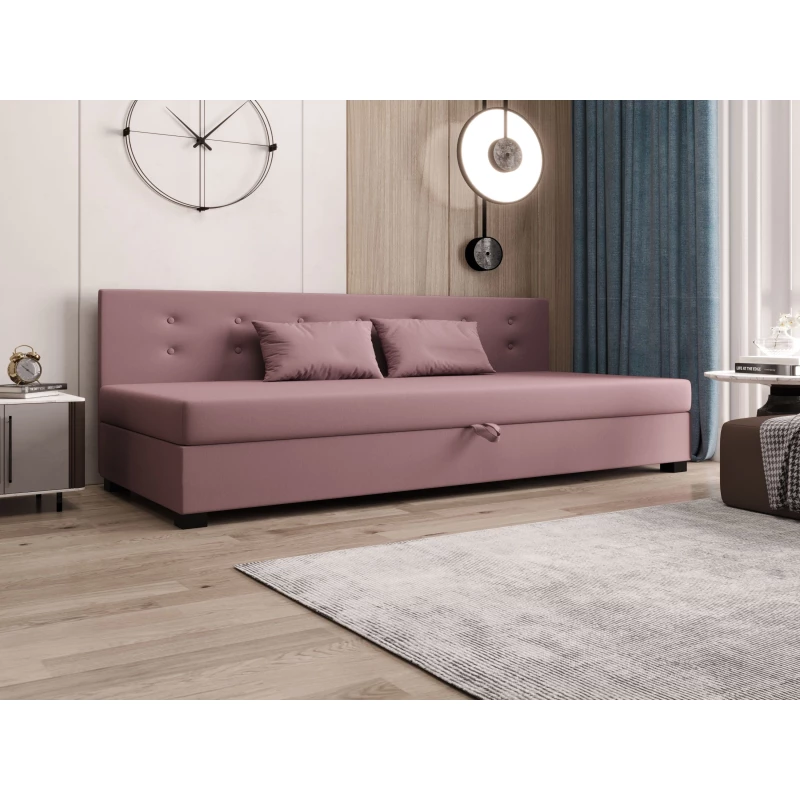 Jednolôžková posteľ 80x195 AJKA BIZ 1 - ružová