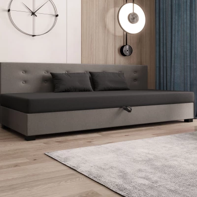 Jednolôžková posteľ 80x195 AJKA BIZ 2 - šedá / svetlo šedá