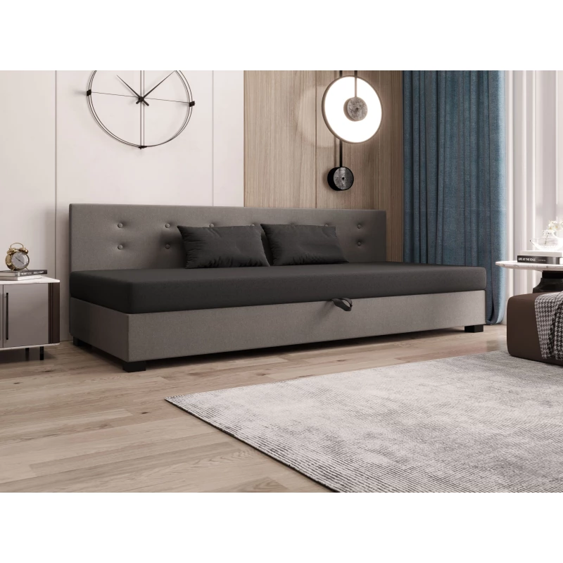 Jednolôžková posteľ 80x195 AJKA BIZ 2 - šedá / svetlo šedá