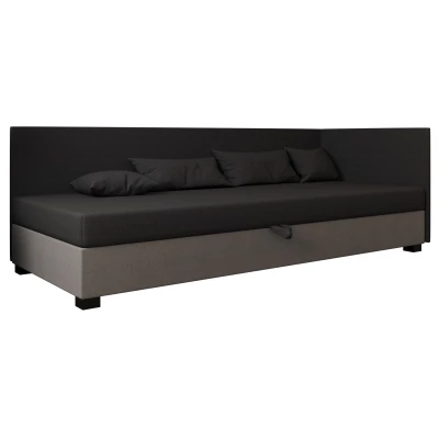 Čalúnená posteľ 100x195 HEIDI PLUS 1 - šedá / svetlo šedá