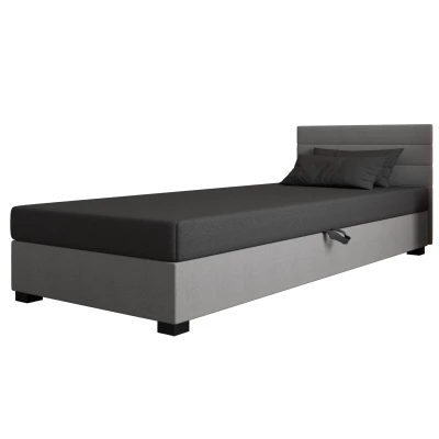 Čalúnená posteľ 120x195 KASANDRA 2 s úložným priestorom - šedá / svetlo šedá