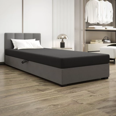 Jednolôžková posteľ 120x195 MANKA 2 - šedá / svetlo šedá