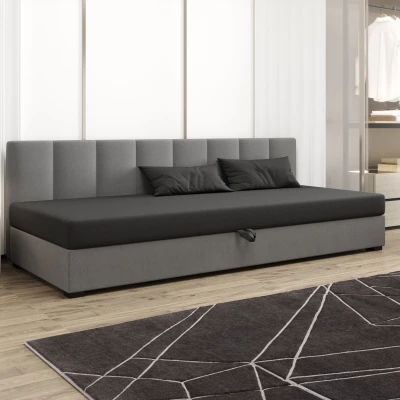 Jednolôžková posteľ 80x195 MANKA BIZ 1 - šedá / svetlo šedá