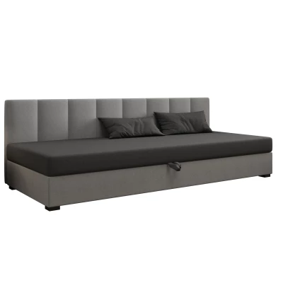 Jednolôžková posteľ 120x195 MANKA BIZ 2 - šedá / svetlo šedá