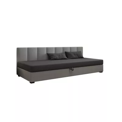 Jednolôžková posteľ 120x195 MANKA BIZ 2 - šedá / svetlo šedá