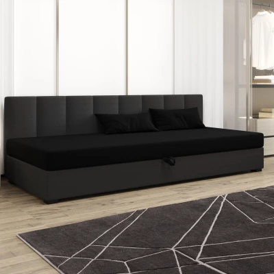 Jednolôžková posteľ 90x195 MANKA BIZ 2 - čierna / šedá