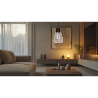 Moderné závesné osvetlenie MOLDO - 1xE27, 40W, čierna / číre sklo