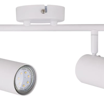Stropné bodové svietidlo COLLY - 2xGU10, 15W, biele