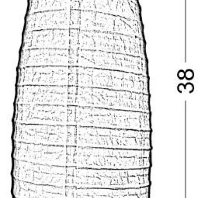 Stolová papierová lampa PAPIRUS - 1xE14, 40W, oranžová