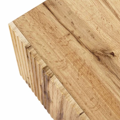 Štýlový televízny stolík HAER 2 - dub wotan / čierny