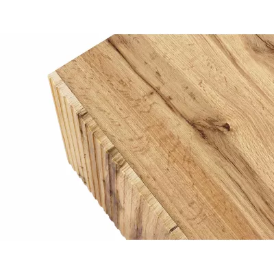 Štýlový televízny stolík HAER 2 - dub wotan / čierny