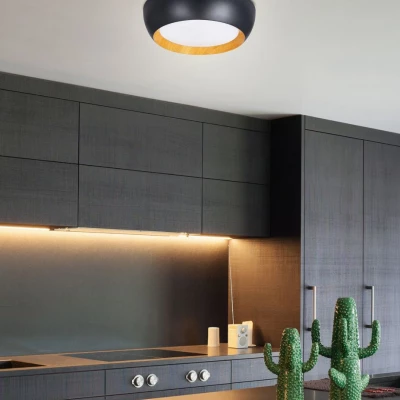 Prisadené LED stropné svietidlo ABRUZZO - 24W, 4000K (denná biela), čierne / hnedé / biele